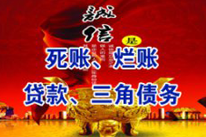 面临诉讼与债务困扰，如何应对与解决？